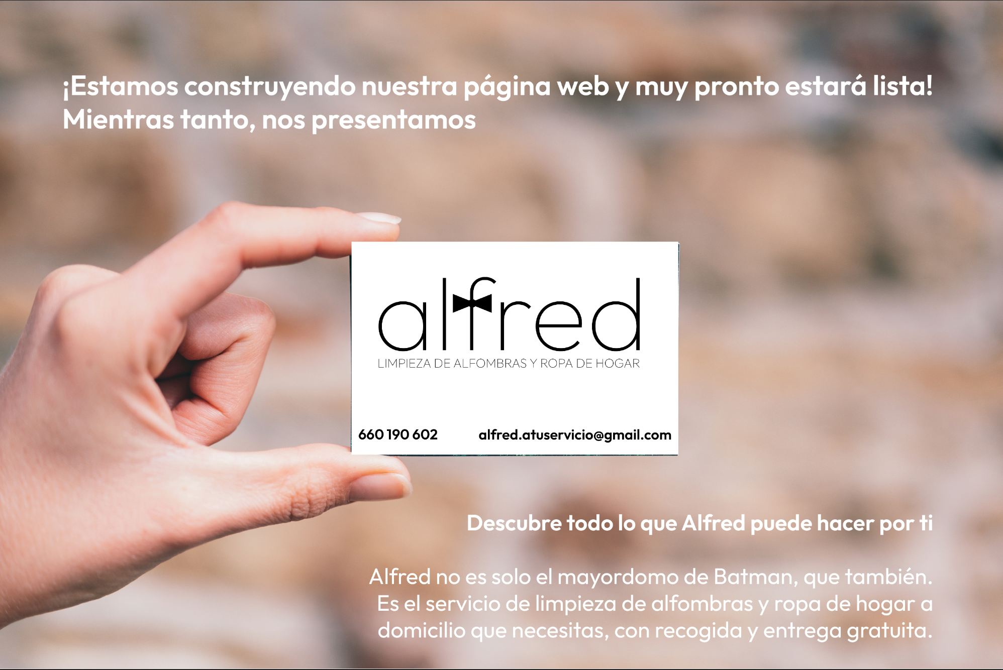 alfred - Limpieza de alfombras y ropa de hogar